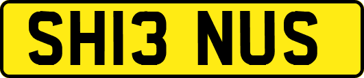 SH13NUS