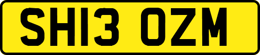 SH13OZM