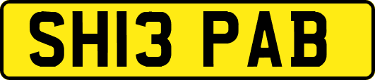 SH13PAB