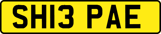 SH13PAE