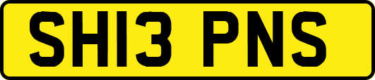 SH13PNS