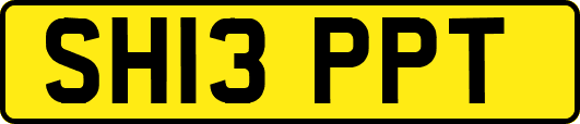 SH13PPT