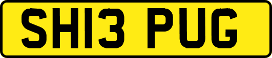 SH13PUG