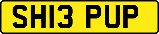 SH13PUP