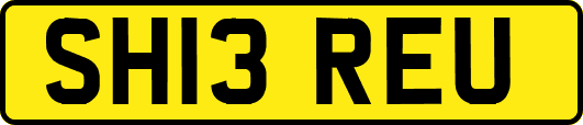 SH13REU