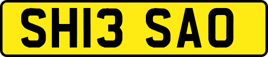 SH13SAO