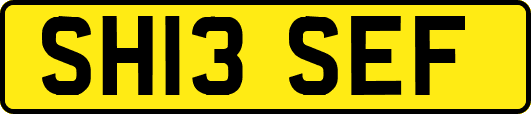 SH13SEF