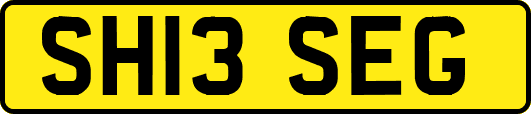 SH13SEG