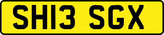 SH13SGX