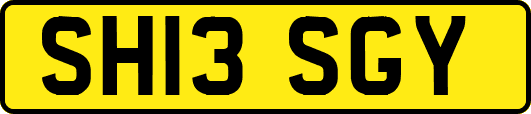 SH13SGY