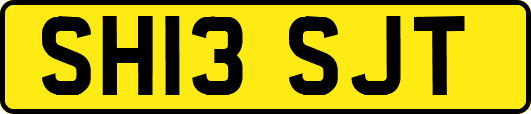 SH13SJT