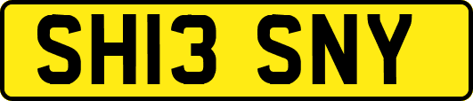 SH13SNY