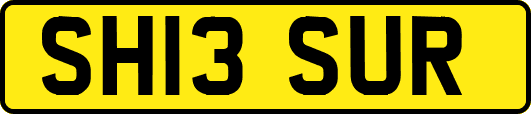 SH13SUR