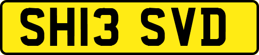 SH13SVD