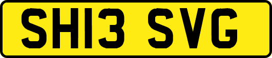 SH13SVG