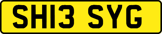 SH13SYG