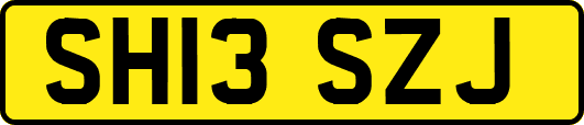 SH13SZJ