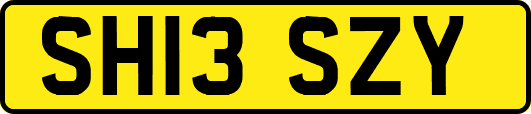 SH13SZY