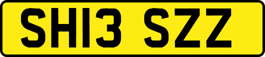 SH13SZZ