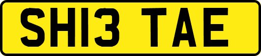 SH13TAE