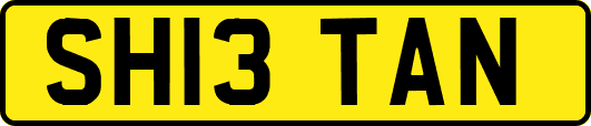 SH13TAN