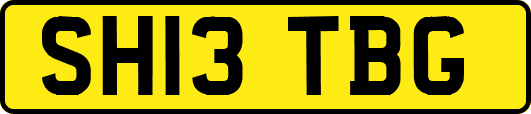 SH13TBG
