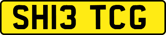 SH13TCG