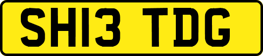 SH13TDG