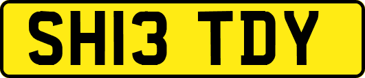 SH13TDY