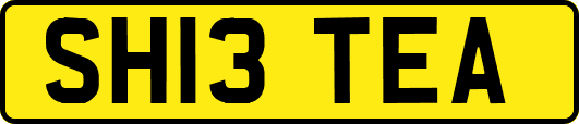 SH13TEA