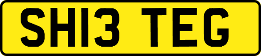 SH13TEG