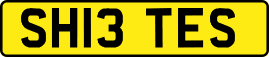 SH13TES