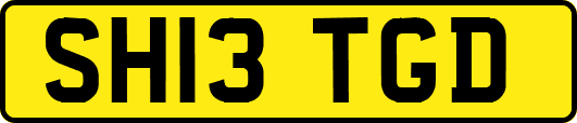 SH13TGD