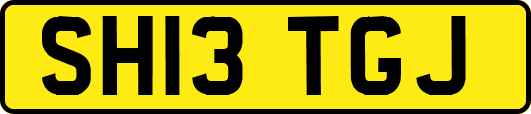 SH13TGJ