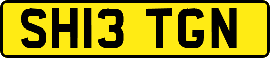 SH13TGN