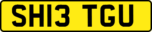 SH13TGU