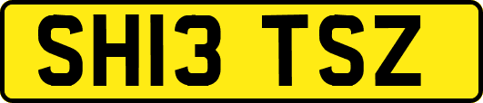 SH13TSZ