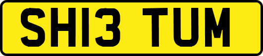 SH13TUM