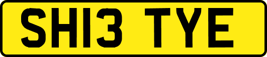 SH13TYE