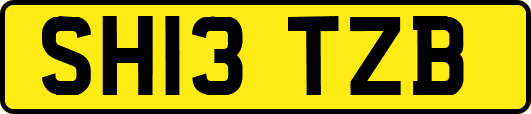 SH13TZB