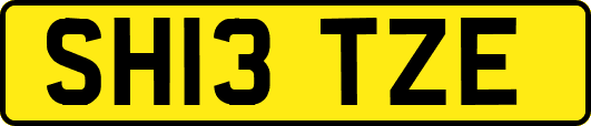 SH13TZE