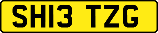 SH13TZG