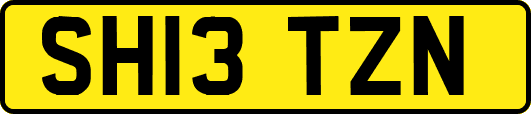 SH13TZN
