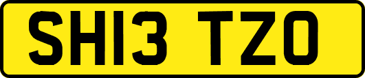 SH13TZO