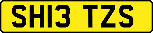 SH13TZS