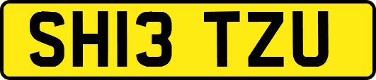 SH13TZU