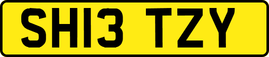 SH13TZY