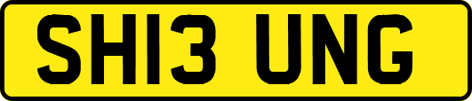 SH13UNG