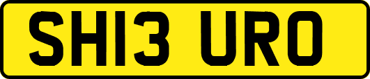 SH13URO