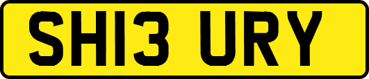 SH13URY